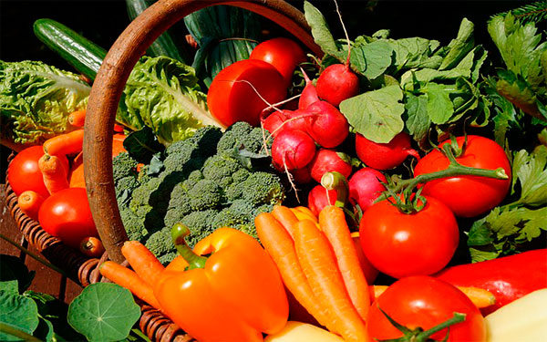 Alimentos Colombianos Alimentos Colombianos