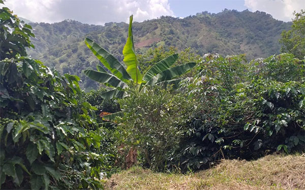 Paisaje Santa María, Huila Paisaje Santa María, Huila
