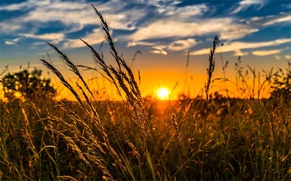 Foto Pixabay