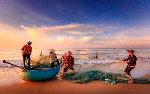 Imagen-de-Quang-Nguyen-vinh-en-Pixabay