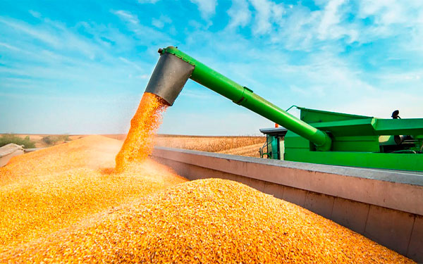 Imagen tomada de Agrolatam Imagen tomada de Agrolatam