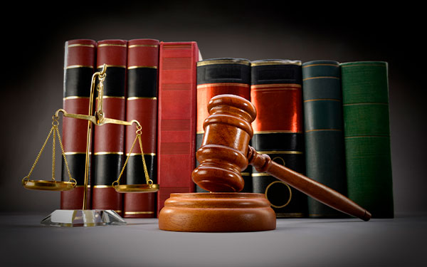 Imagen de Monsieur de Villefort