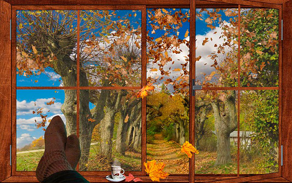 Imagen-de-Gerhard-G.-en-Pixabay