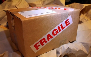 &iquest;Necesita algo de Estados Unidos o China?, tranquilo, Pepe lo trae