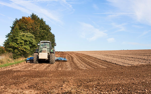 Reavivamiento del agro, antes que tierras, productividad: ExSupernotariado