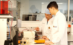 UPB: Modelo arterial que emula biomec&aacute;nica de los vasos sangu&iacute;neos
