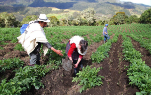 Bancam&iacute;a: 15 a&ntilde;os apostando por la inclusi&oacute;n financiera en Colombia