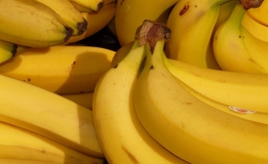 Exportaciones de banano hondure&ntilde;o suben 10,6 % en el tercer trimestre de 2015