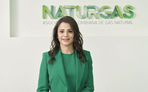 Colombia no debe perder autosuficiencia ni soberan&iacute;a energ&eacute;tica: NATURGAS