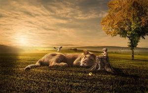 Tasa de cambio, &iquest;Un le&oacute;n dormido para el campo?