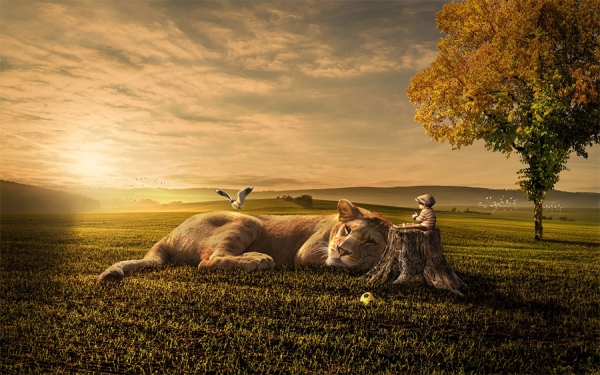 Tasa de cambio, &iquest;Un le&oacute;n dormido para el campo?