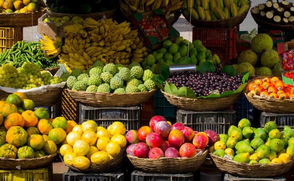 A.Latina se consolida como el mayor exportador neto de alimentos del mundo