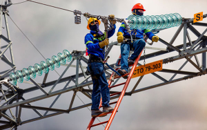 El embrollo de la opci&oacute;n tarifaria