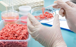 Paraguay rechaza propuesta de Bill Gates sobre carne sint&eacute;tica