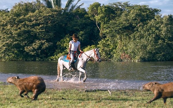 En turismo, Colombia el mejor destino, Galavanta, la mejor opci&oacute;n