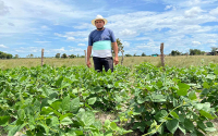 Conocimientos ind&iacute;genas fortalecen seguridad alimentaria y producci&oacute;n rural
