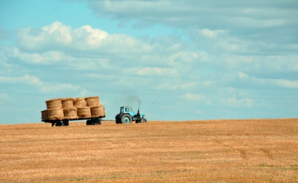 Pa&iacute;ses tratar&aacute;n de cerrar acuerdo sobre normas de  agricultura ecol&oacute;gica