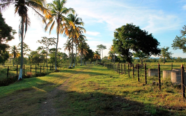 Reforma agraria, &iquest;otra vez aplazada?