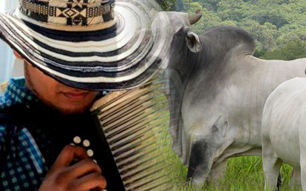 Rafael Enrique Amaris Ariza: la mejor vida, agricultura, ganader&iacute;a y vallenato