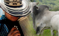 Rafael Enrique Amaris Ariza: la mejor vida, agricultura, ganader&iacute;a y vallenato