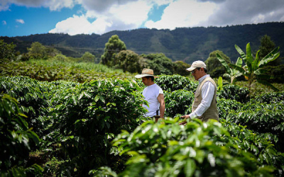 APPA, vitales para recuperar agricultura y ordenar la producci&oacute;n: Carvajalino