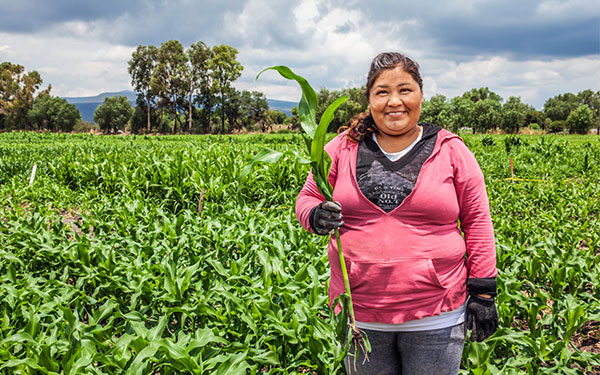 Syngenta lanza nuevo m&oacute;dulo: convivencia entre agricultura y biodiversidad