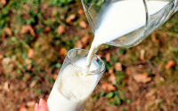 Costos de producci&oacute;n incrementaron precios de la leche: Analac