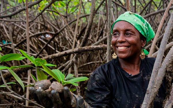 Piangueras chocoanas siguen apostando por sostenibilidad ambiental