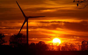 NEU Energy, cerr&oacute; ronda de inversi&oacute;n por 3.5 millones de d&oacute;lares