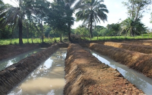 Filtros verdes, la soluci&oacute;n al agua de calidad en Colombia