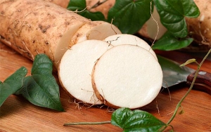 En Bol&iacute;var, cadena de &ntilde;ame les deja utilidad a los agricultores