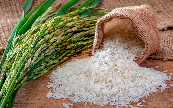 Arroceros en vilo, crece producci&oacute;n y caen inventarios