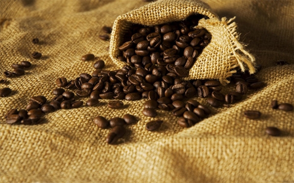 Mundo e industria podr&iacute;an quedarse sin caf&eacute;: G&oacute;mez Estrada