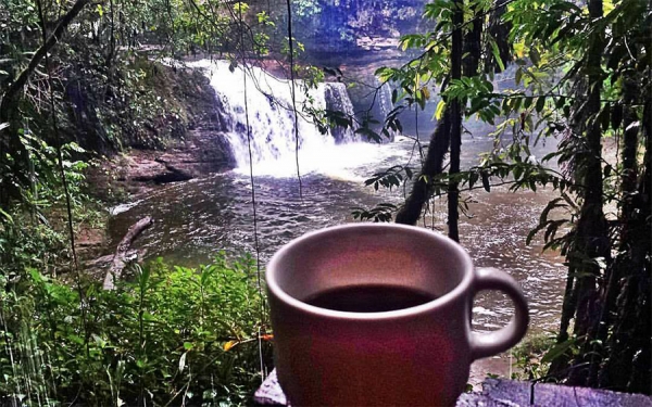 Caf&eacute; de Pitalito, una especialidad con herencia Laboyana