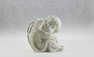 La decisi&oacute;n del NO debe ayudar a despertar la paz