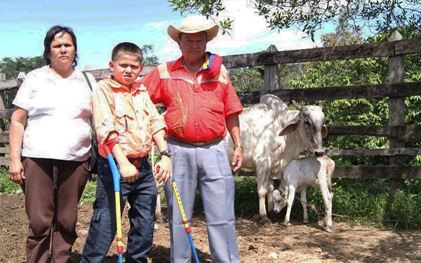 Fundag&aacute;n entregar&aacute; vacas para transformar vidas en el campo colombiano