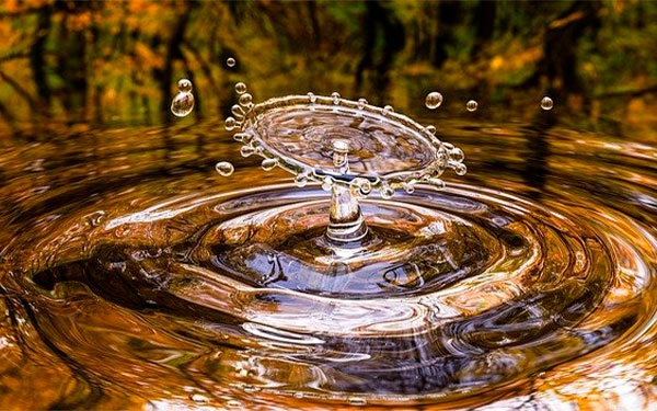 El agua en wall Street