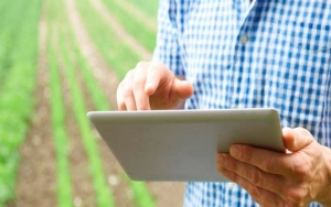 Internet, el nuevo y m&aacute;s eficaz escenario de subastas agropecuarias
