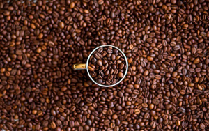 FNC y SCA unificar&aacute;n los est&aacute;ndares de los caf&eacute;s especiales de Colombia