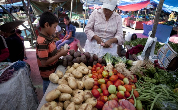 Am&eacute;rica Latina es la regi&oacute;n que m&aacute;s avanza en la lucha contra el hambre