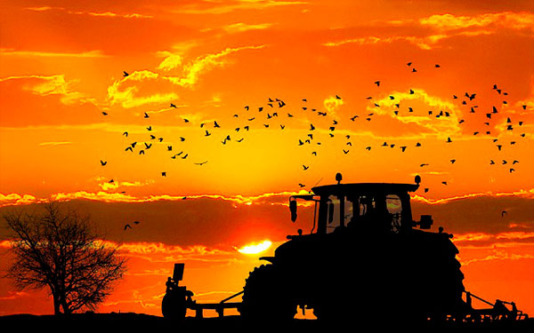 Agricultura en Colombia, una actividad amenazada y aislada: Mej&iacute;a L&oacute;pez