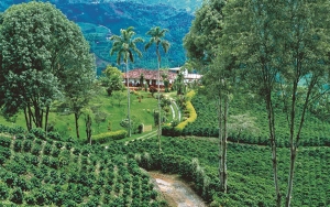 Risaralda, todo un Santuario para el caf&eacute; de Nestl&eacute;