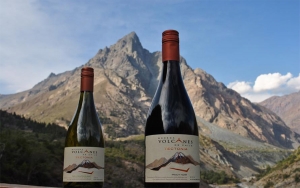 Detalle y toque femenino, el secreto de Bodega Volcanes