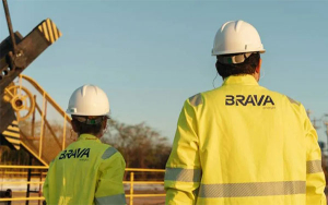 Brava Energ&iacute;a: Diversificaci&oacute;n Internacional versus Oportunidad Nacional
