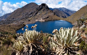 Santurban, el inconformismo reina