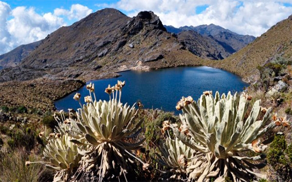 Santurban, el inconformismo reina