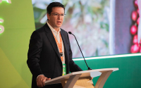 Producci&oacute;n cafetera de 2024 supera los 13,41 millones de sacos: Germ&aacute;n Baham&oacute;n