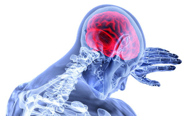 Neurociencia, invitada de honor de Congreso Internacional de Ciencias