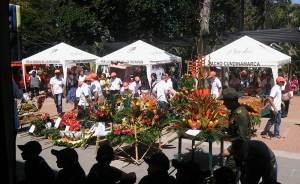 “Colombia Siembra” debe optar por 15 millones de hectáreas