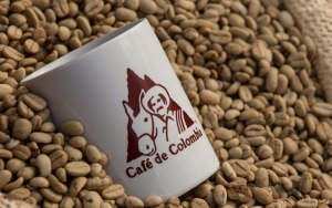 Caficultores a aumentar producci&oacute;n y a construir v&iacute;as terciarias